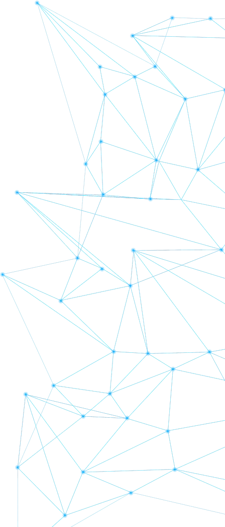 Network marketing portfolio