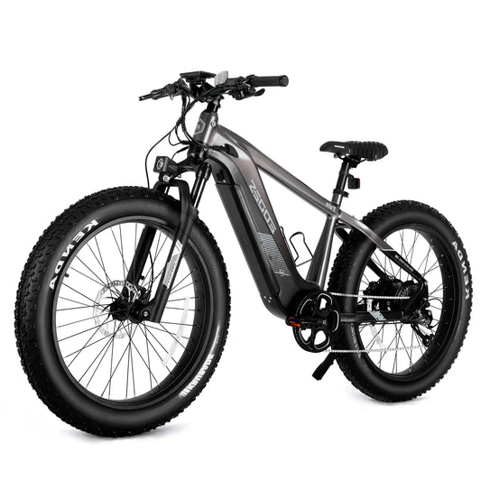 eBike Boys 52V 750W Adult eBike - 17AH Battery, Top Speed 32km/h