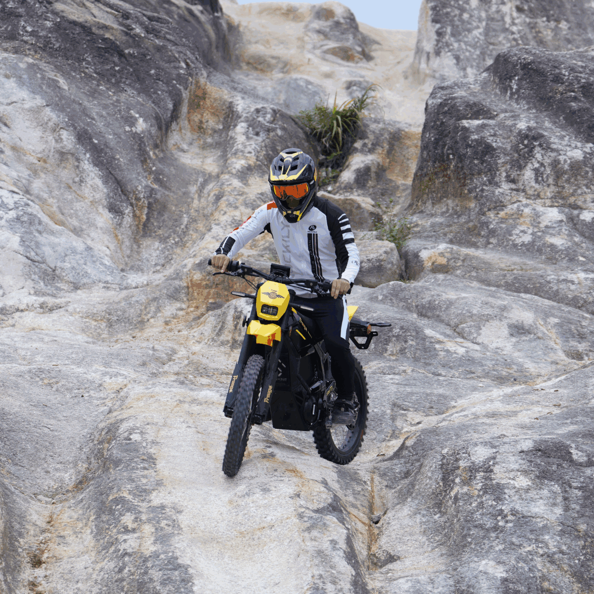 Freego Nova 5 Mid-Drive Off-Road Electric Dirt Bike